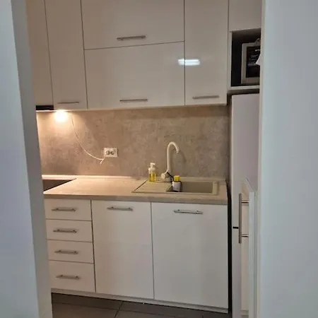 Borik 19